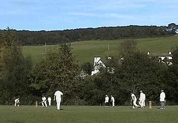 Cricket on The Meadow, Marldon